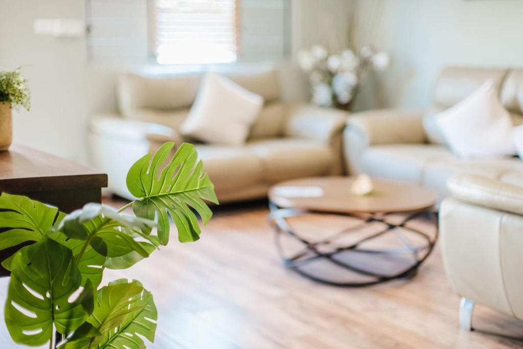 Platinum Cawa Apartments Νάντι Εξωτερικό φωτογραφία