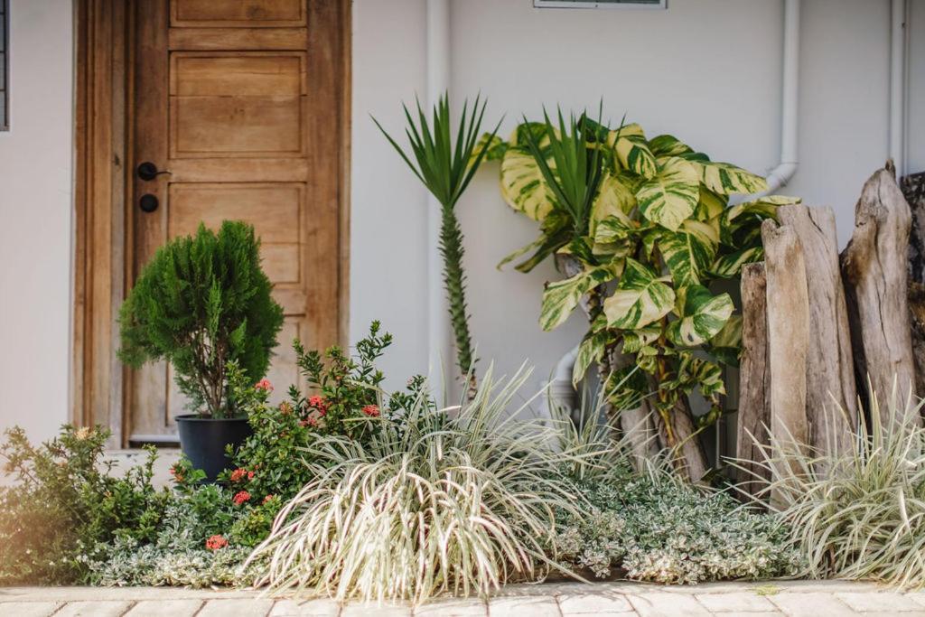 Platinum Cawa Apartments Νάντι Εξωτερικό φωτογραφία